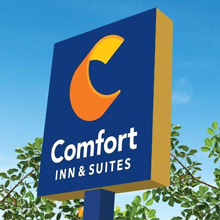 Comfort Inn & Suites Texas City Exterior photo